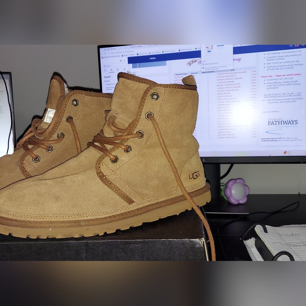 UGG Tan Suede Boots